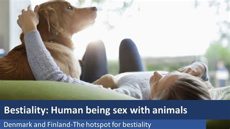 bestality|Watch Genuine Animals Bestiality Porn Videos For Free